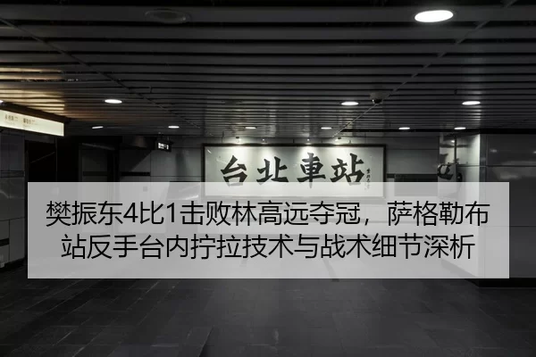 樊振东4比1击败林高远夺冠，萨格勒布站反手台内拧拉技术与战术细节深析